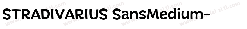 STRADIVARIUS SansMedium字体转换